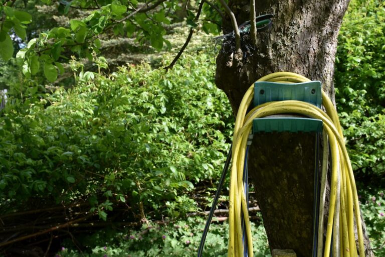 Eastern Washington Spring Lawn Care: Complete Guide for Spokane Homeowners